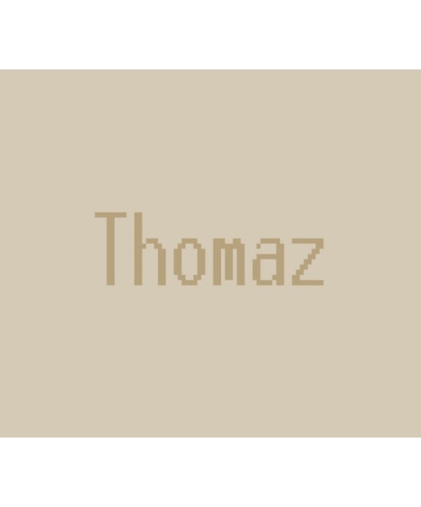 Thomaz Steam Key GLOBAL